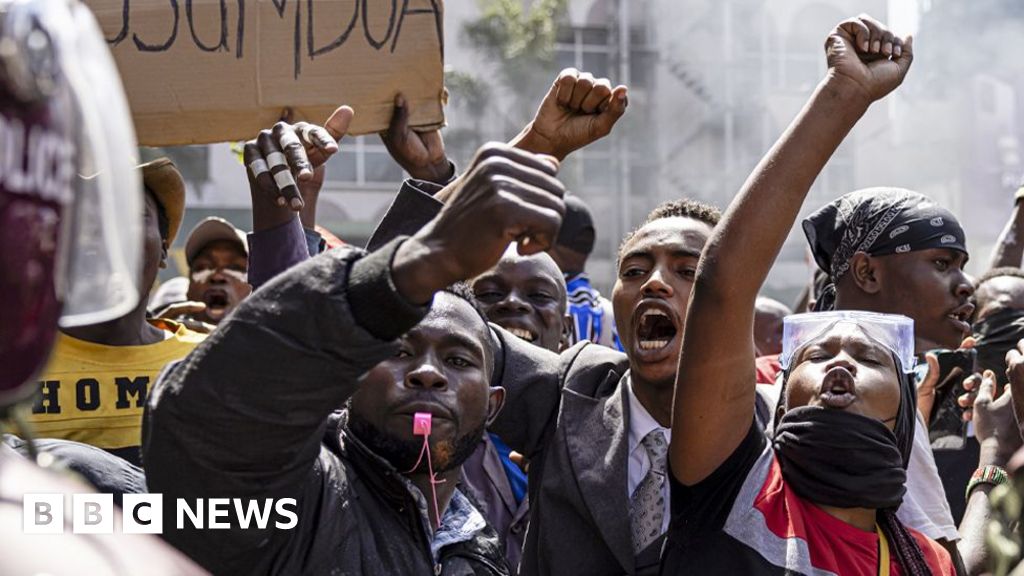 Pressure mounts to probe Kenya police and army after BBC report