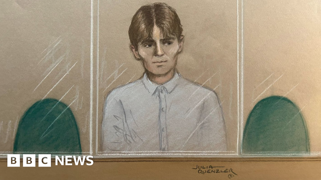 Norwegian teen was in UK to 'undertake a hit', court hears