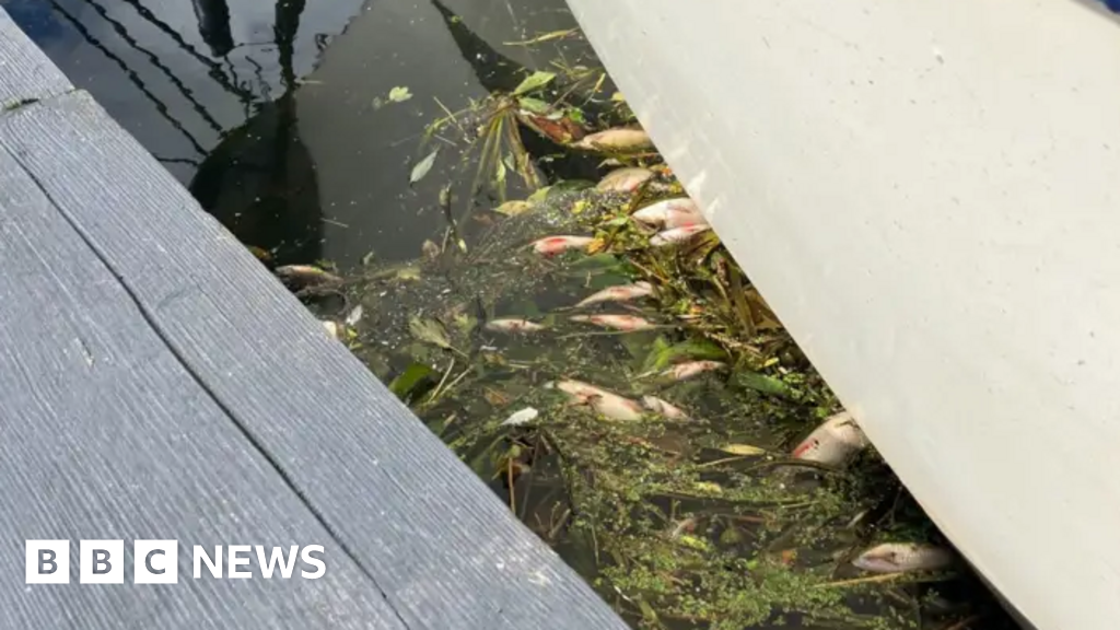 Environment Agency criticised over Whittlesey pollution incidents