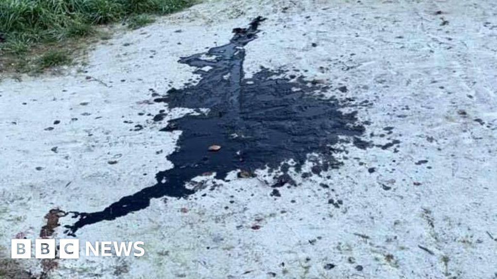 Luton Henge artwork vandalised, says community member