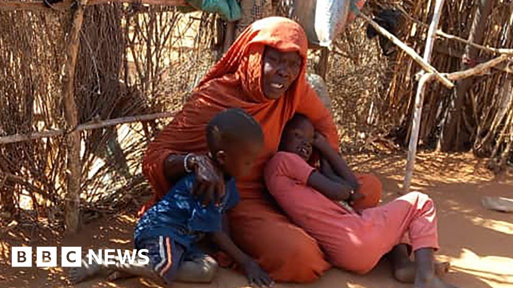 Sudan paramilitaries accused of crimes against humanity over siege of key city