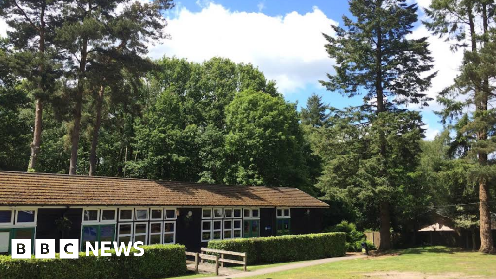 Children injured after tree falls at Hindhead PGL Activity Centre