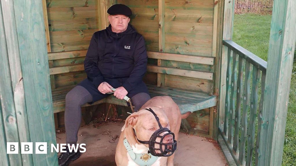 Colchester dog owner reunited with XL bully after nine months