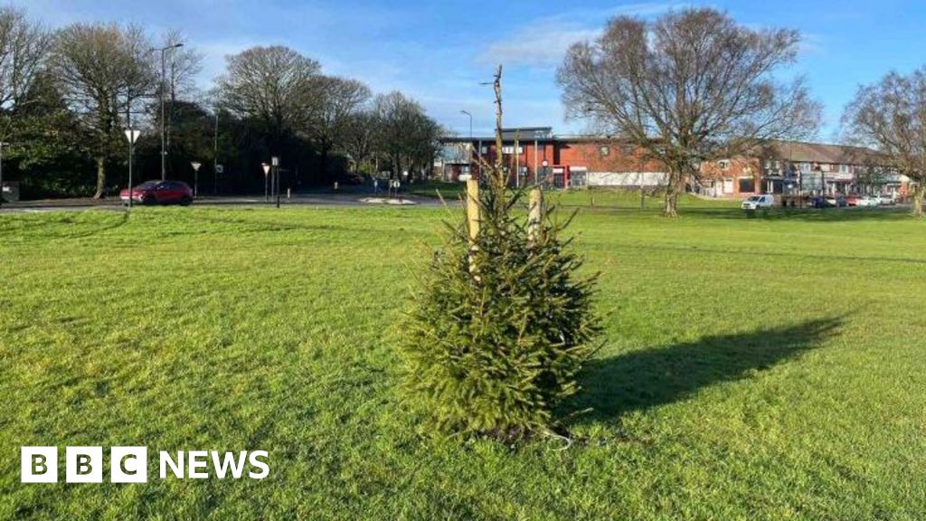 ‘Teeny-tiny’ Christmas tree sparks confusion in Wigan village | Manchester News