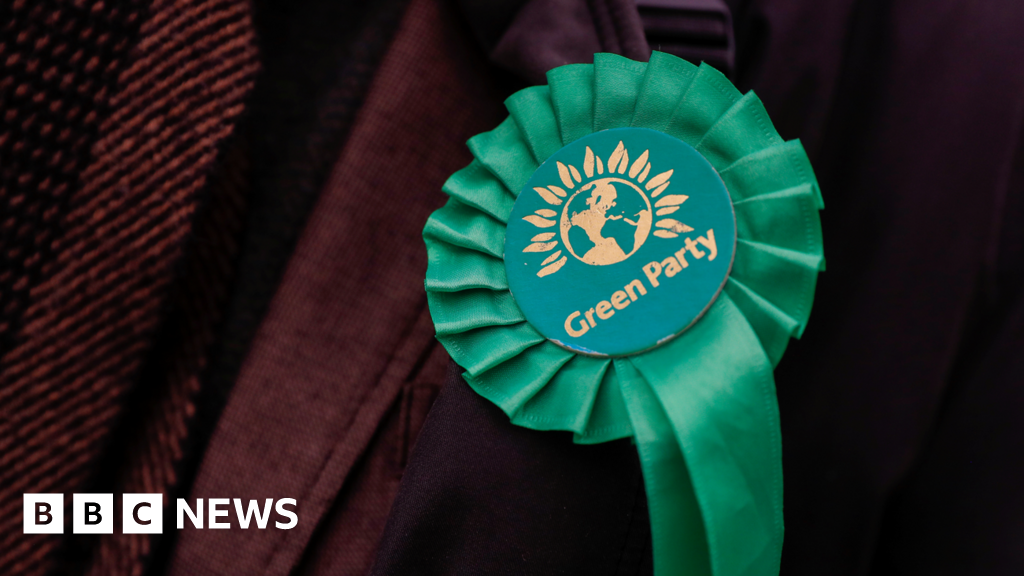 Green Party investigating candidates before election deadline