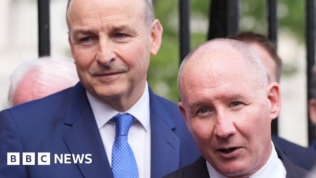 Jim Gavin: Danger for Irish prime minister as presidential election candidate quits