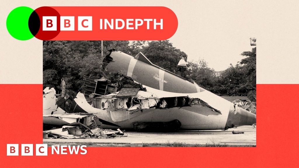 The furious dispute over what caused Air India fli