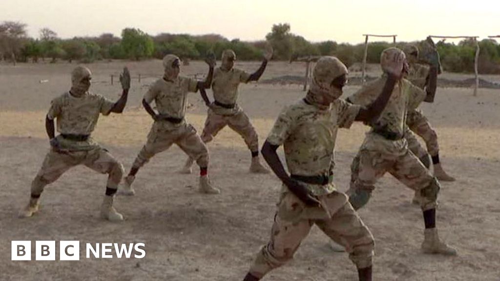 JNIM in Mali: How an al-Qaeda offshoot became one of Africa’s deadliest militant groups