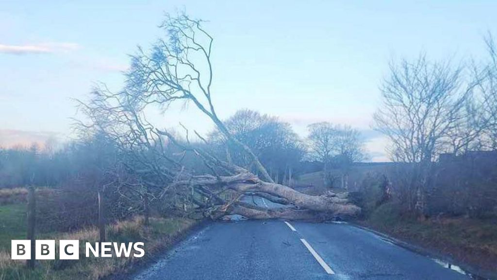 Power cuts and travel disruption after Storm Dave hits Scotland