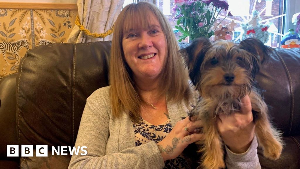 Seven-week-old smuggled puppy finds forever home