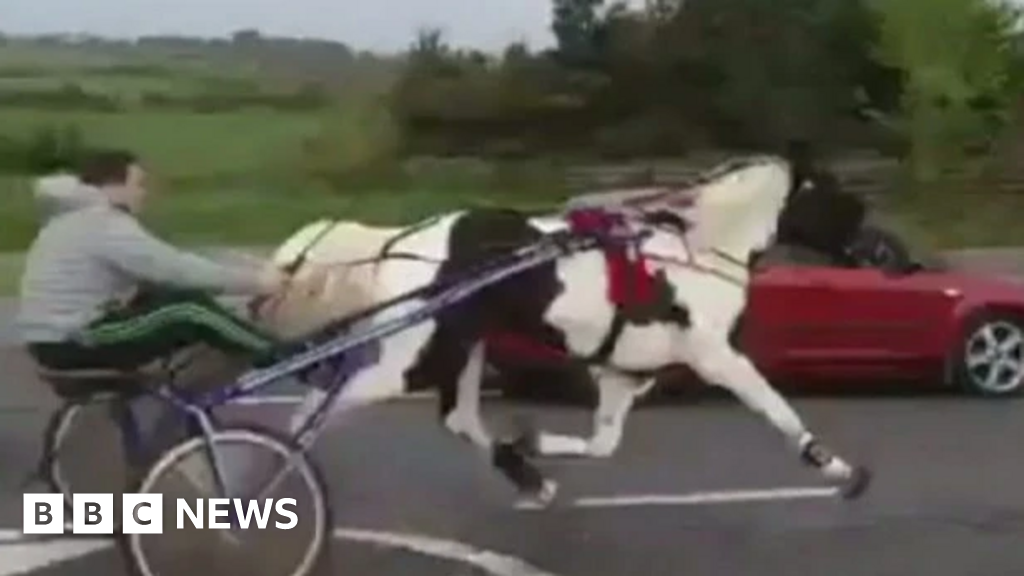Police Use Dispersal Orders To Halt Pony And Trap Racing Events In Oxfordshire Buckinghamshire