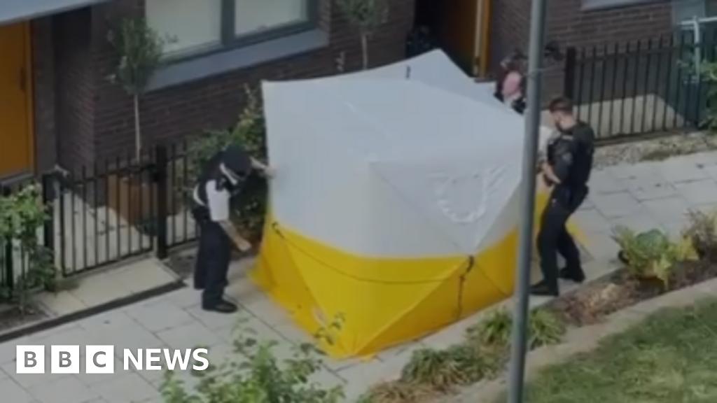 Isle of Dogs: Man in his 20s fatally stabbed in east London