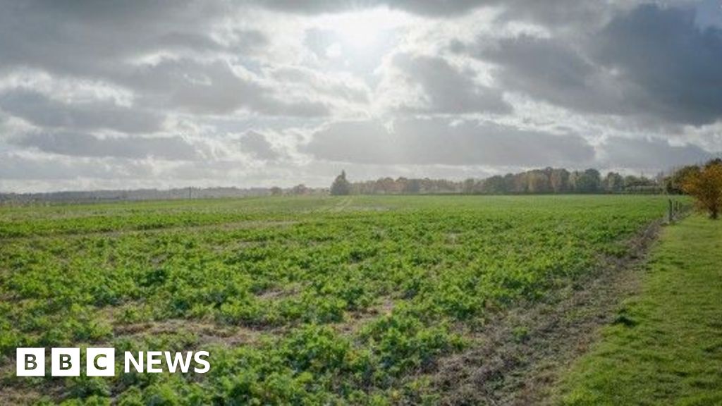 Kent, Kinsale Approve Large Solar Farms Despite Local Opposition