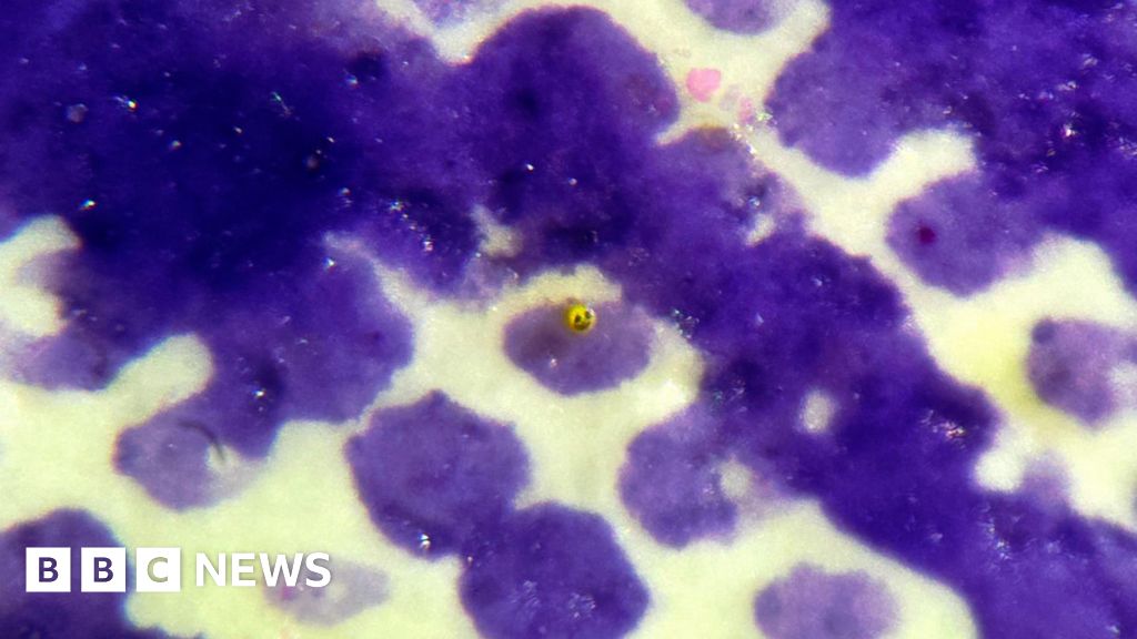 Micro artist creates 'invisible to eye' sculpture