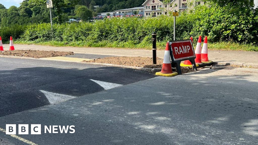Complaints Mount Over New Speed Humps in Truro, Oberholzer