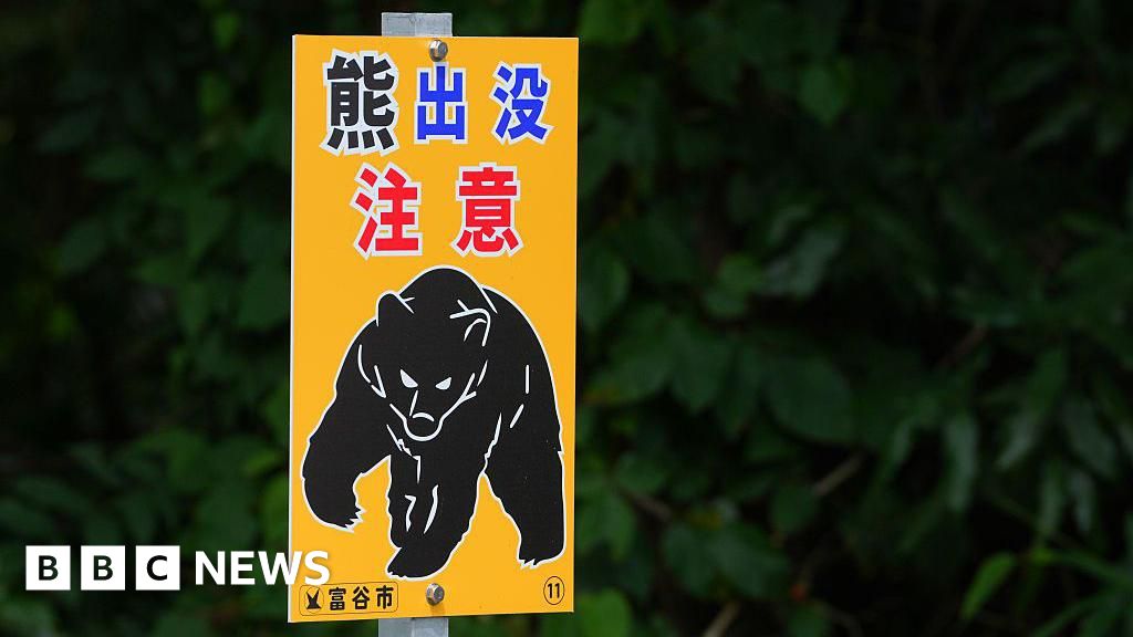 'Bear attack victim' was actually killed by son, Japan police say