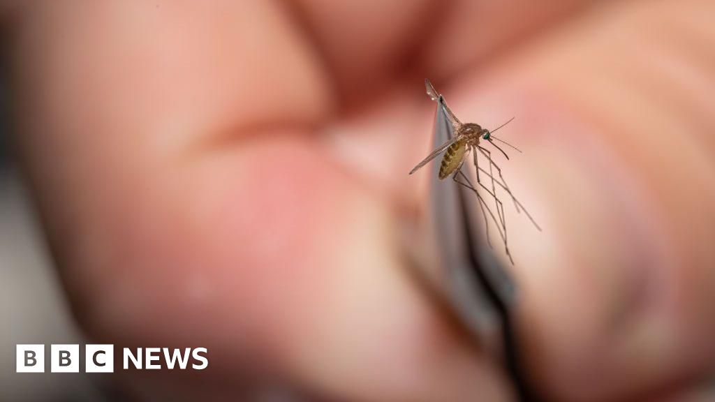 'Very serious' mosquito virus prompts US towns to close parks