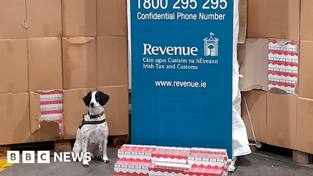 bm transport cigarettes Dublin Port: More than 13m cigarettes seized by Revenue officers