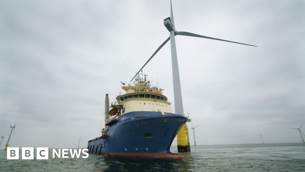 Artificial reef created at Rampion offshore wind farm in Sussex
