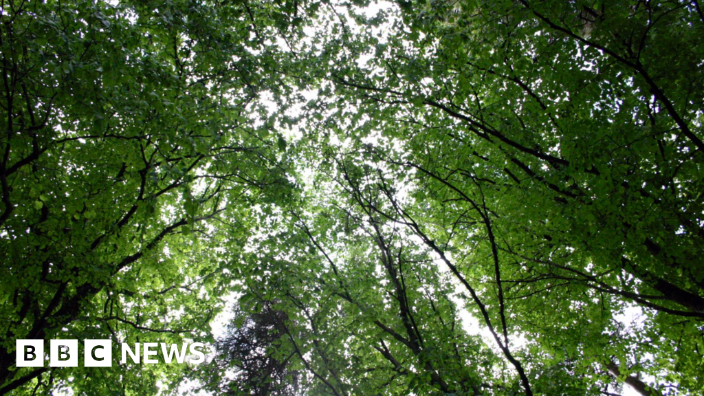 Microplastics in the air can be more prevalent in rural…