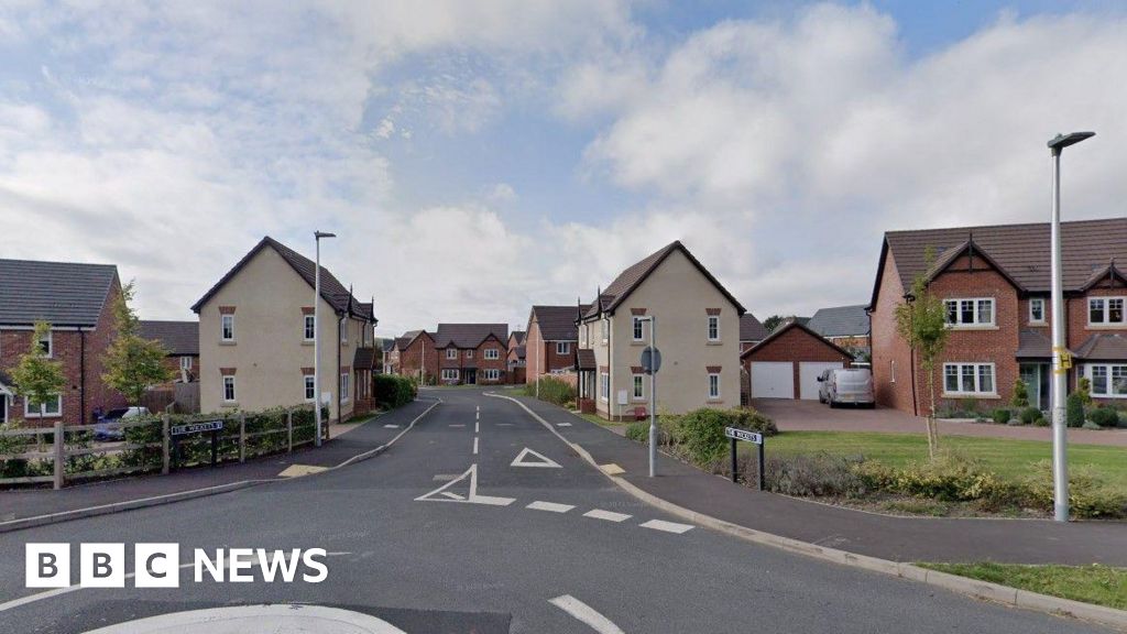 Bomere Heath homes get goahead after cricket ball fears allayed BBC News