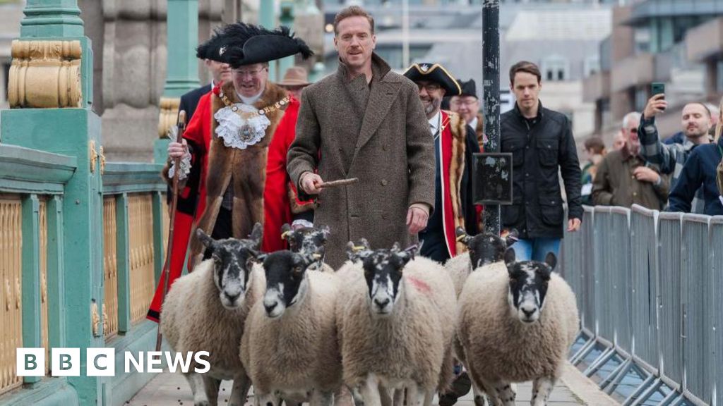 'Is it to do with sheep?' The meaning of the Freedom of the City of London