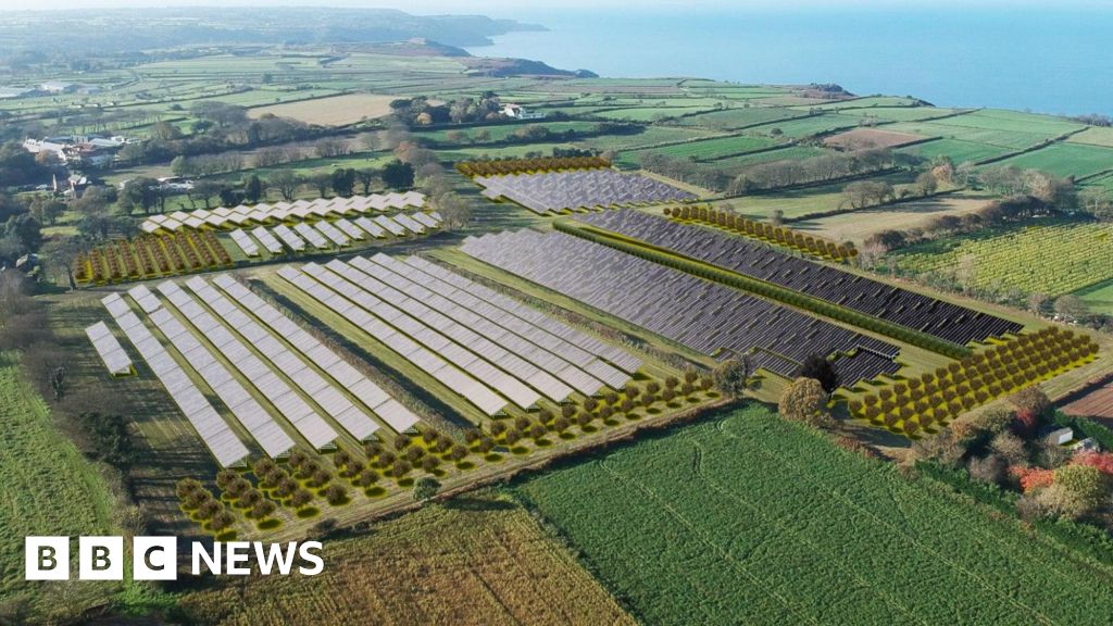 bbc.co.uk - Dan Wareing - St Mary solar farm plans paused by Jersey Electricity