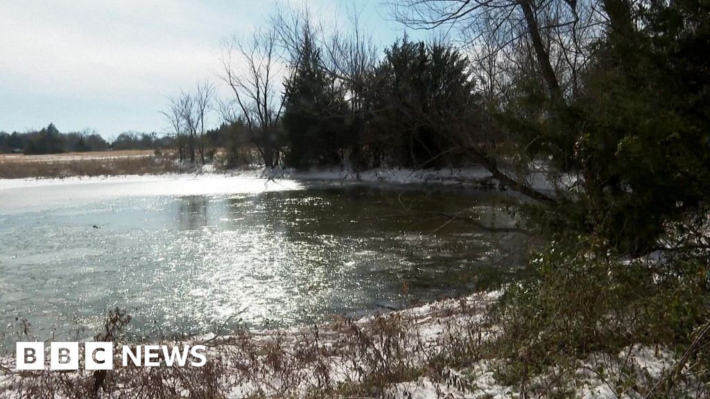 Three brothers die after falling in frozen Texas pond