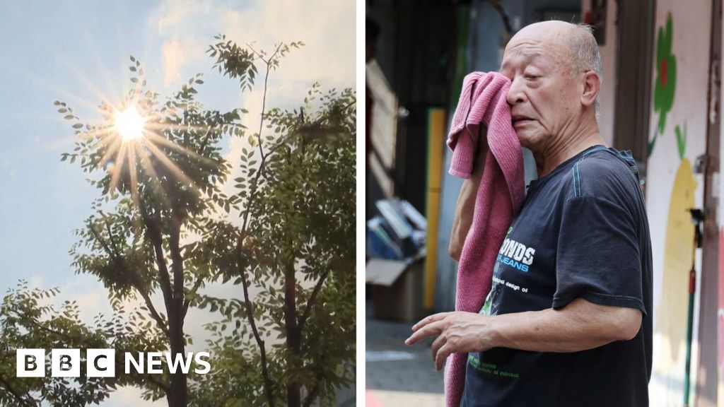 Record heatwave in South Korea as temperatures soar to 42.5C