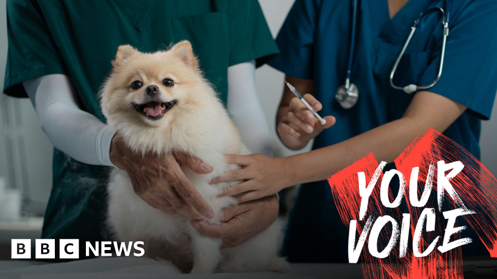 Vets could be forced to publish pet treatment prices