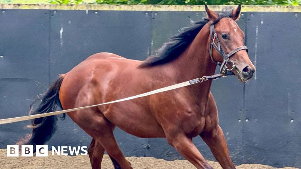 Study of racehorses’ poo predicts future track success