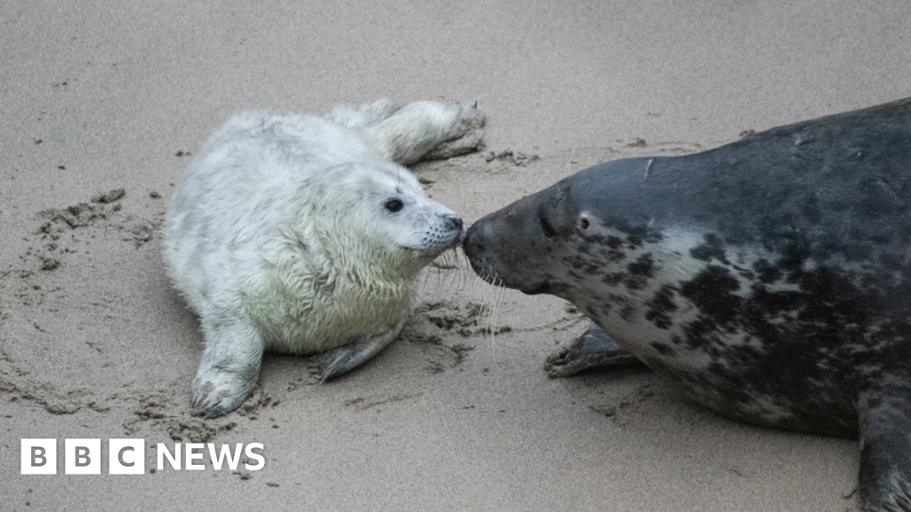 Wildlife photographer’s highlights of 2024