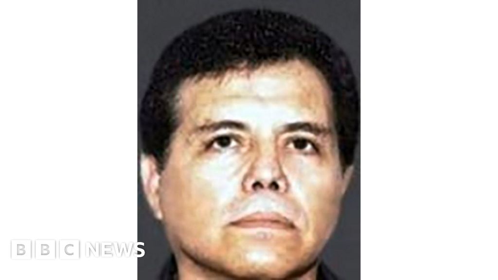 Mexico cartel leader 'El Mayo' enters guilty plea