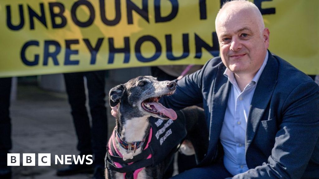 Greyhound racing to be outlawed in Scotland