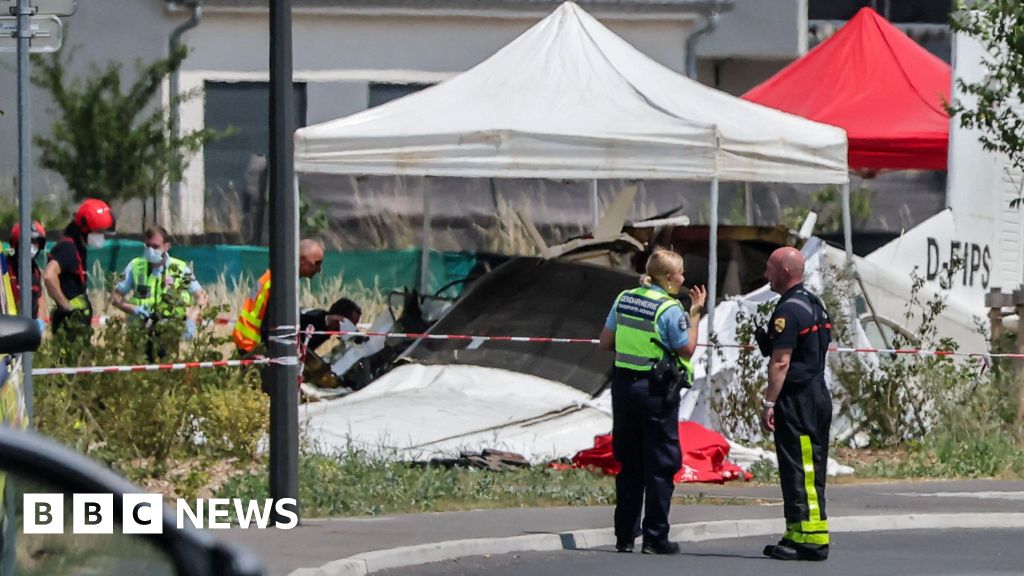 Eleven killed after plane carrying skydivers crashes in eastern France – BBC  www.bbc.com