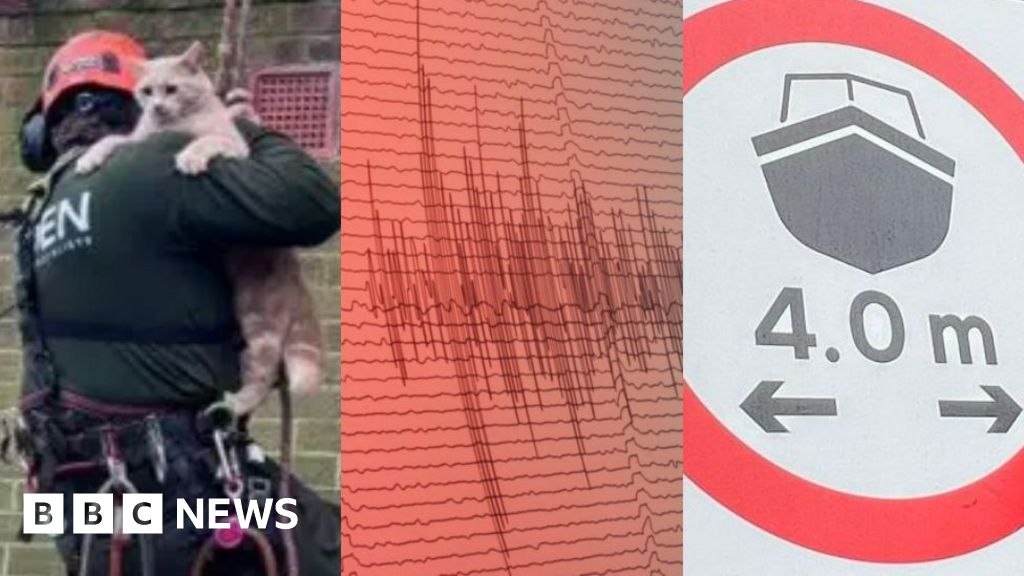 East of England news quiz of the week January 25-31