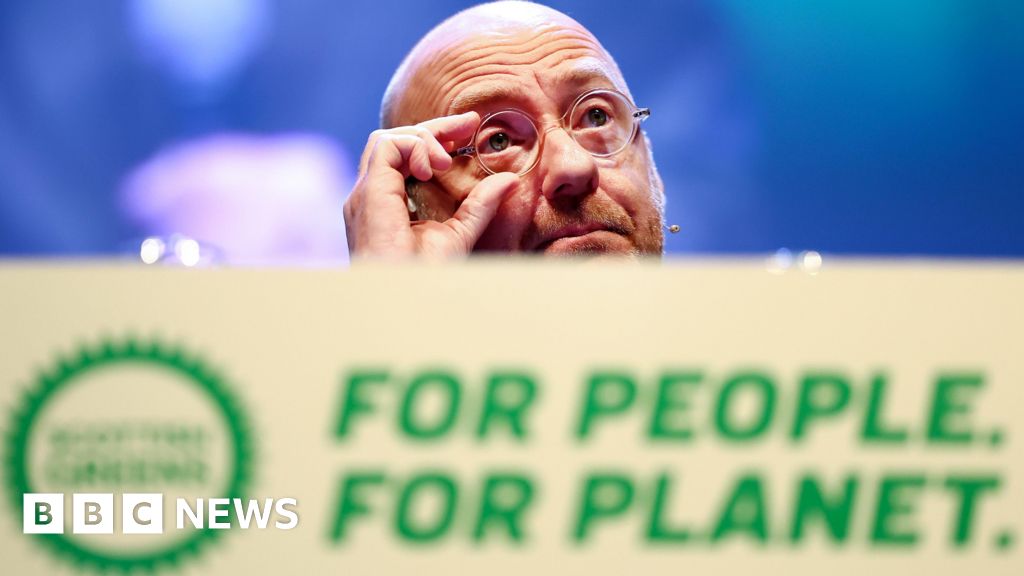 Greens issue new election candidate list after 'software error'