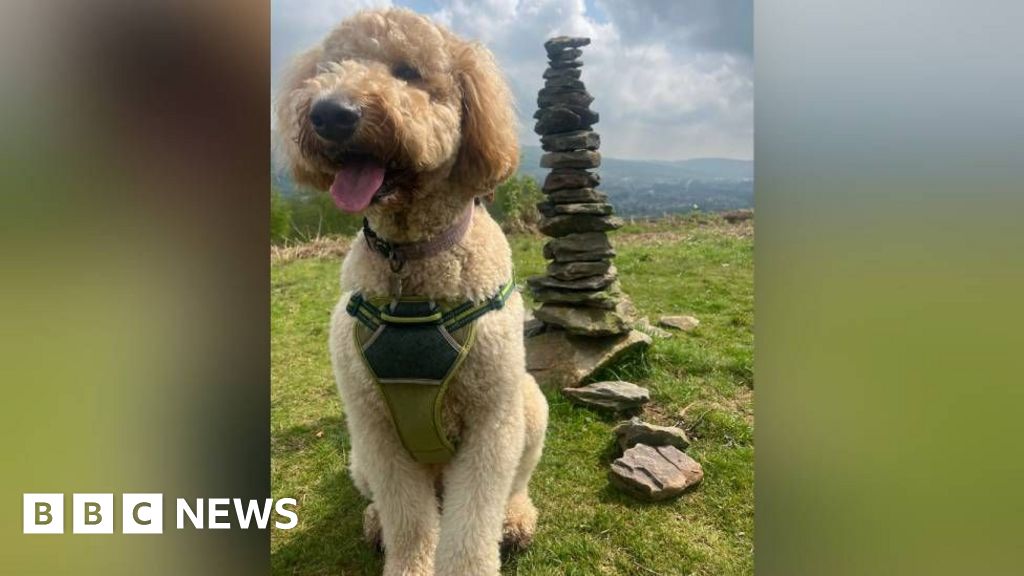 825c56b0-6874-11f0-8dbd-