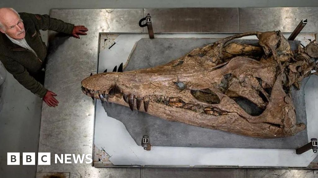 Kimmeridge sea monster museum set to shut for four-week revamp
