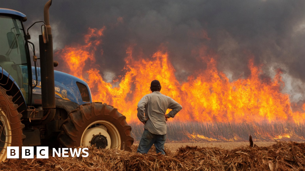 Brazil wildfires leave at least two dead