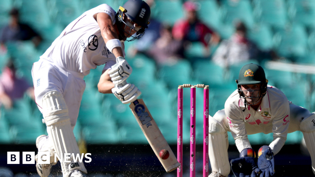 It's just not cricket: Is willow on the way out?