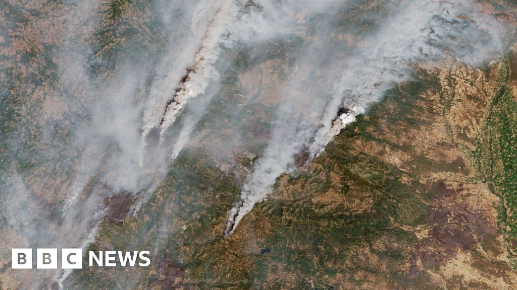 EU faces worst wildfire season on record