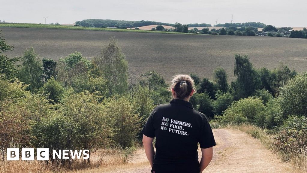 bbc.co.uk - Lucy Ashton - Whitestone solar farm plan causing 'heartache', residents say