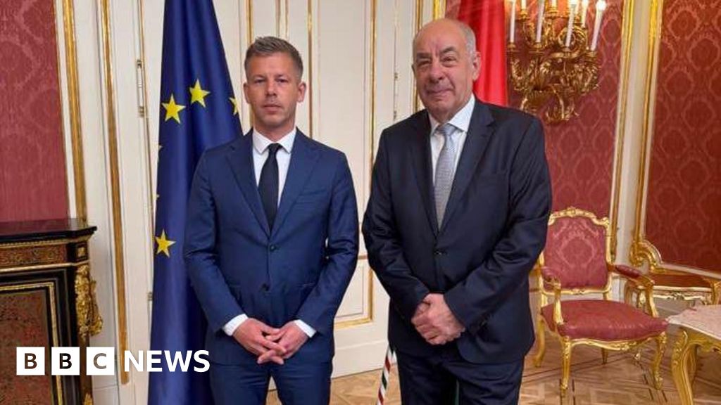 Magyar meets Hungarian president as Trump says next PM 'a good man'