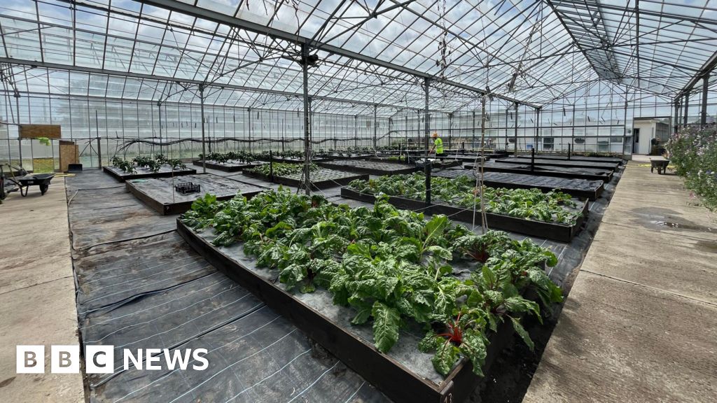 Guernsey prison gardens helps inmates 'make change in life' - BBC News