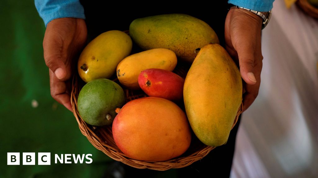 Are mangoes good for diabetes? Indian studies challenge conventional wisdom