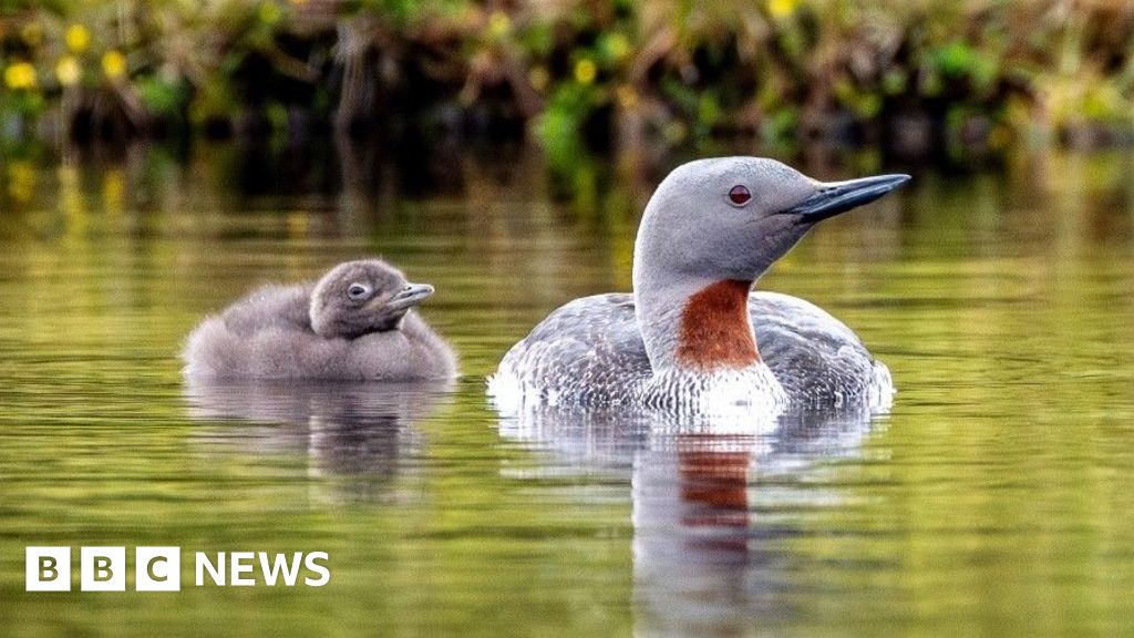 Your pictures of Scotland: Photographs from around the country