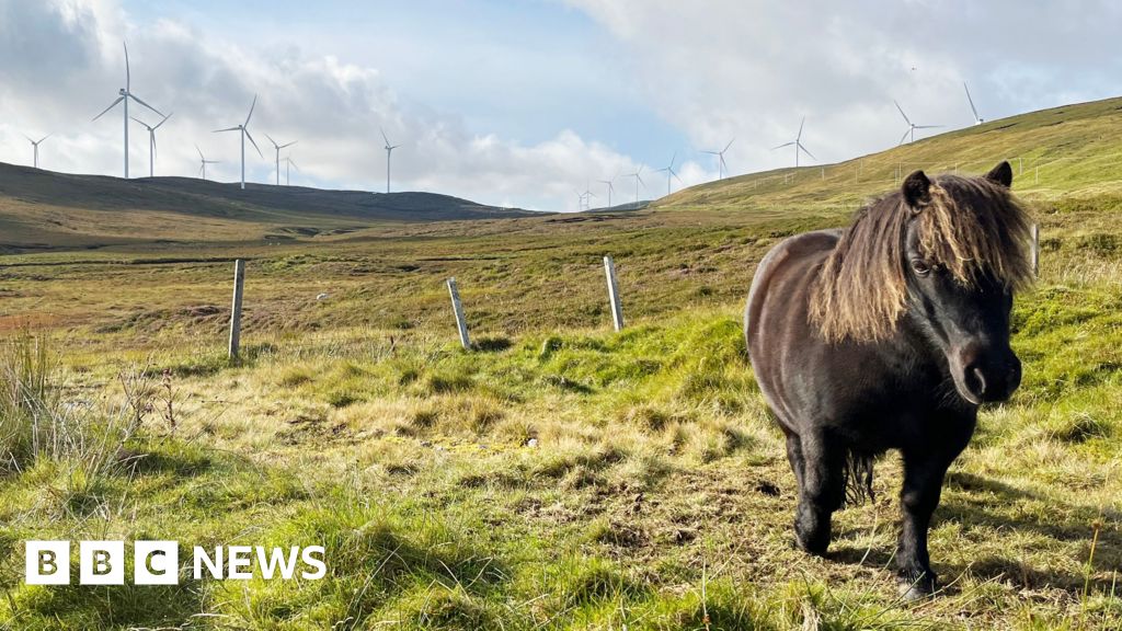 New Shetland windfarm could power nearly 500,000 homes