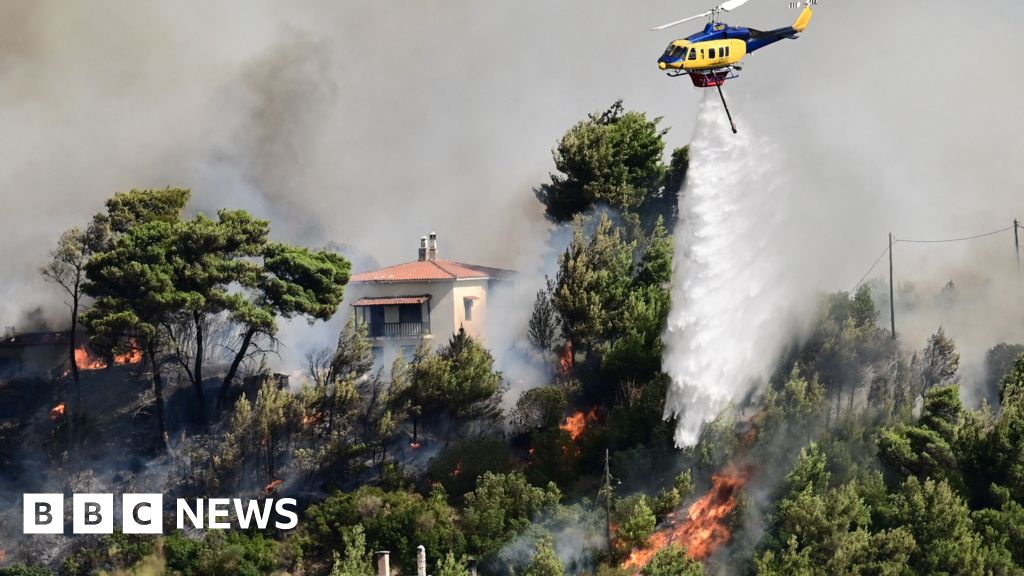 Incendi boschivi in ​​Grecia: ai residenti della maratona viene detto di fuggire mentre l’ondata di caldo continua