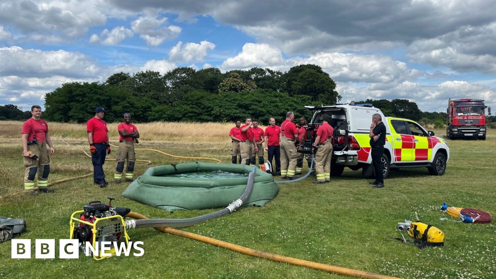 Wildfire risk: London prepares for climate change blazes